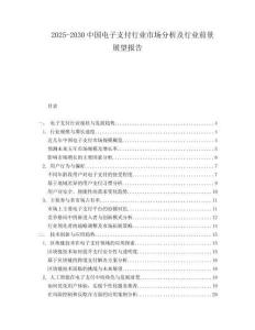 2025-2030中國電子支付行業市場分析及行業前景展望報告