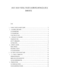 2025-2030中國電子商務行業稽查治理體系完善及策略研究