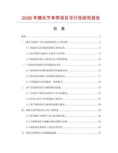 2026年膝關(guān)節(jié)束帶項目可行性研究報告