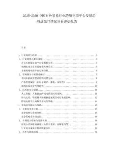 2025-2030中國對外貿易行業跨境電商平臺發展趨勢進出口情況分析評估報告