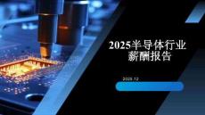 2025年半導體行業薪酬報告-