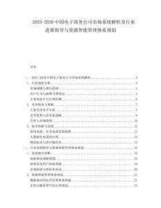 2025-2030中國電子商務(wù)公司市場系統(tǒng)解析及行業(yè)進(jìn)展指導(dǎo)與資源智能管理體系規(guī)劃