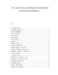 2025-2030中國電子商務跨境貿易行業市場現狀供需分析及投資評估規劃報告
