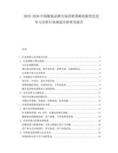 2025-2030中國服裝品牌市場營銷策略創新優化競爭力分析行業規劃分析研究報告