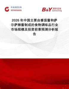 2026年中國主要由番茄醬和薩爾薩辣醬制成的食物調(diào)味品行業(yè)市場規(guī)模及投資前景預(yù)測分析報告