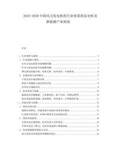 2025-2030中國風力發電機組行業供需狀況分析及新能源產業規劃