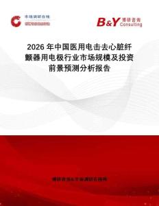 2026年中國醫用電擊去心臟纖顫器用電極行業市場規模及投資前景預測分析報告
