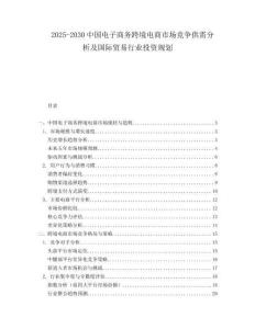 2025-2030中國電子商務跨境電商市場競爭供需分析及國際貿易行業投資規劃