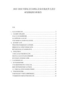2025-2030中國電力行業核心企業市場競爭力及行業發展趨勢分析報告