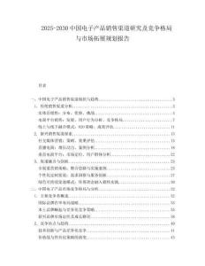 2025-2030中國電子產品銷售渠道研究及競爭格局與市場拓展規劃報告