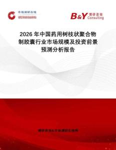 2026年中國藥用樹枝狀聚合物制膠囊行業市場規模及投資前景預測分析報告