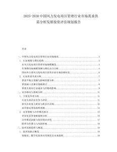 2025-2030中國風(fēng)力發(fā)電項目管理行業(yè)市場需求供需分析發(fā)展投資評估規(guī)劃報告