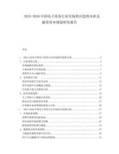 2025-2030中國電子商務行業市場供應趨勢分析及融資資本規劃研究報告