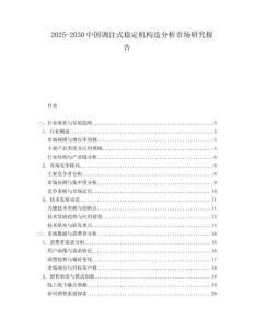 2025-2030中國調注式穩定機構造分析市場研究報告