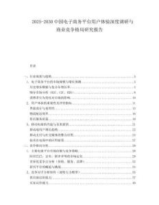 2025-2030中國電子商務平臺用戶體驗深度調研與商業競爭格局研究報告