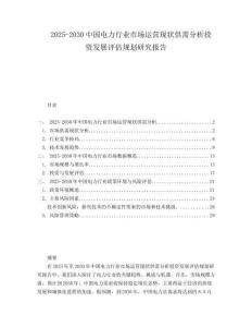 2025-2030中國電力行業市場運營現狀供需分析投資發展評估規劃研究報告