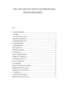 2025-2030中國兒童戶外玩具行業市場供需動態及投資評估規劃深度報告