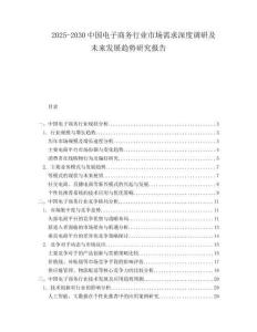2025-2030中國電子商務(wù)行業(yè)市場需求深度調(diào)研及未來發(fā)展趨勢研究報(bào)告