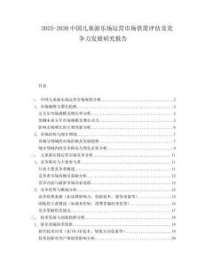 2025-2030中國兒童游樂場運營市場供需評估及競爭力發展研究報告
