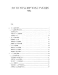 2025-2030中國電子支付產業市場分析與發展戰略研究