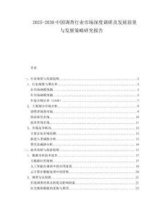 2025-2030中國調查行業市場深度調研及發展前景與發展策略研究報告