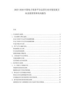 2025-2030中國電子商務平臺運營行業市場發展方向及投資管理布局報告