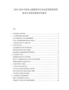 2025-2030中國電力能源供應行業(yè)運營現(xiàn)狀供需管理及行業(yè)前景規(guī)劃評估報告