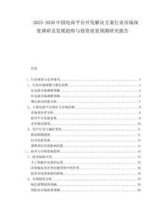 2025-2030中國電商平臺開發解決方案行業市場深度調研及發展趨勢與投資前景預測研究報告