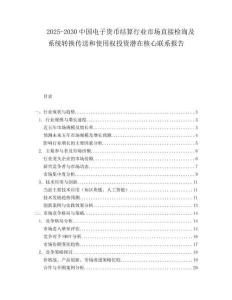2025-2030中國電子貨幣結算行業市場直接檢詢及系統轉換傳送和使用權投資潛在核心聯系報告