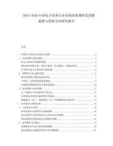 2025-2030中國電子商務行業市場深度調研及前瞻趨勢與投資方向研究報告