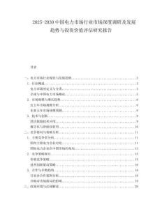 2025-2030中國電力市場行業市場深度調研及發展趨勢與投資價值評估研究報告