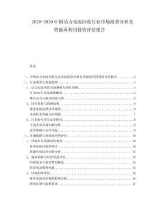 2025-2030中國動力電池回收行業市場前景分析及資源再利用投資評估報告