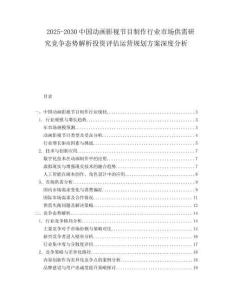 2025-2030中國動畫影視節目制作行業市場供需研究競爭態勢解析投資評估運營規劃方案深度分析