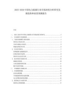 2025-2030中國電力能源行業(yè)市場深度分析研究發(fā)展趨勢和前景預測報告