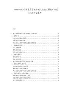 2025-2030中國電力系統(tǒng)智能化改造工程技術(shù)方案與經(jīng)濟(jì)評(píng)估報(bào)告