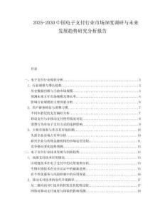 2025-2030中國電子支付行業市場深度調研與未來發展趨勢研究分析報告
