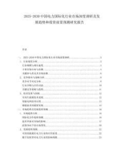 2025-2030中國電力國際化行業市場深度調研及發展趨勢和投資前景預測研究報告