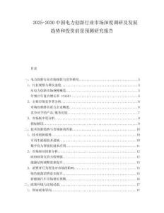 2025-2030中國電力創新行業市場深度調研及發展趨勢和投資前景預測研究報告