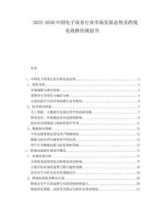 2025-2030中國電子商務行業市場發展態勢及跨境電商路徑規劃書