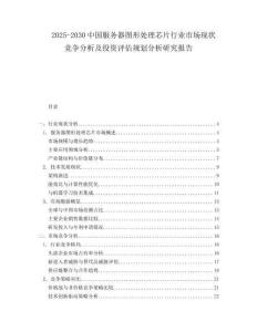 2025-2030中國服務(wù)器圖形處理芯片行業(yè)市場現(xiàn)狀競爭分析及投資評估規(guī)劃分析研究報告