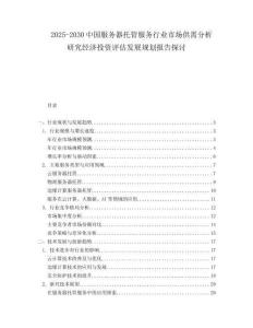 2025-2030中國服務器托管服務行業市場供需分析研究經濟投資評估發展規劃報告探討