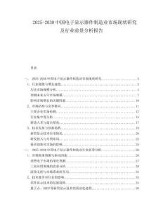 2025-2030中國電子顯示器件制造業市場現狀研究及行業前景分析報告