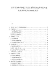2025-2030中國電子商務行業市場深度調研及可持續發展與前景分析研究報告