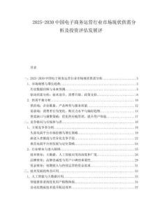 2025-2030中國電子商務(wù)運營行業(yè)市場現(xiàn)狀供需分析及投資評估發(fā)展評