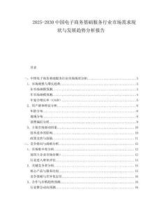 2025-2030中國電子商務基礎服務行業市場需求現狀與發展趨勢分析報告