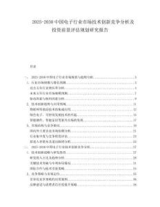 2025-2030中國電子行業市場技術創新競爭分析及投資前景評估規劃研究報告