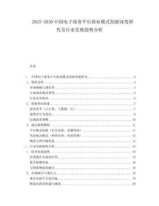 2025-2030中國電子商務平臺商業模式創新深度研究及行業發展趨勢分析