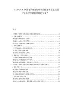 2025-2030中國(guó)電子商務(wù)行業(yè)物流配送體系建設(shè)現(xiàn)狀分析投資規(guī)劃發(fā)展研究報(bào)告