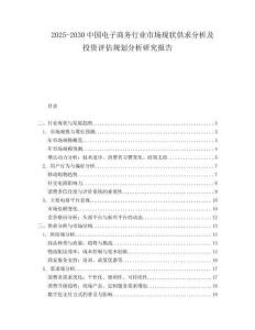 2025-2030中國電子商務行業市場現狀供求分析及投資評估規劃分析研究報告