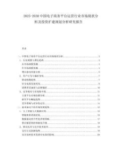 2025-2030中國電子商務平臺運營行業市場現狀分析及投資擴建規劃分析研究報告